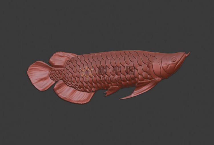 金龙鱼3D模型