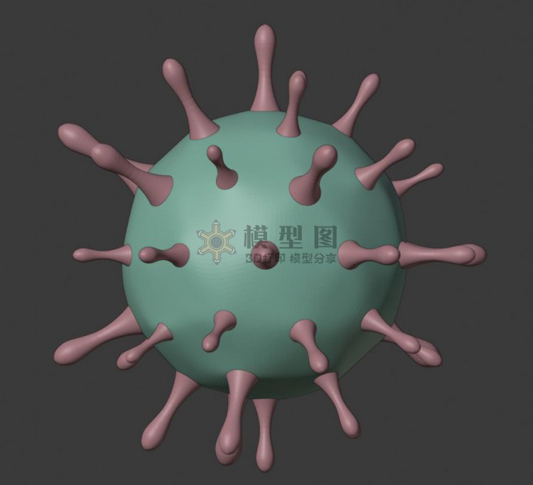 2019新型冠状病毒 SARS-CoV 三维模型示意图