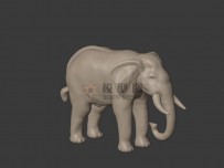 亚洲象stl模型